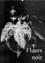 Friederike Küster: Fleurs noir (Wandkalender 2021 DIN A2 hoch), KAL