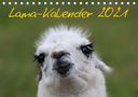 Bernd Witkowski: Lama-Kalender 2021 (Tischkalender 2021 DIN A5 quer), KAL