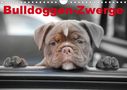 Elisabeth Stanzer: Bulldoggen-Zwerge (Wandkalender 2021 DIN A4 quer), KAL