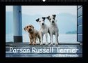 Kathrin Köntopp: Parson Russell Terrier (Wandkalender 2021 DIN A2 quer), Div.