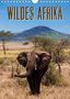 Frank Paul Kaiser: Wildes Afrika (Wandkalender 2021 DIN A4 hoch), KAL