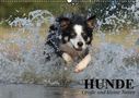 Elisabeth Stanzer: Hunde. Große und kleine Nasen (Wandkalender 2021 DIN A2 quer), Kalender