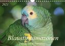 Bettina Schneider: Blaustirnamazonen - Papageien in Paraguay (Wandkalender 2021 DIN A4 quer), KAL