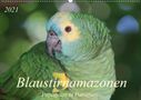 Bettina Schneider: Blaustirnamazonen - Papageien in Paraguay (Wandkalender 2021 DIN A2 quer), KAL