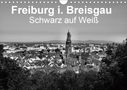 Wolfgang-A. Langenkamp Wal-Art Photography: Freiburg i. Breisgau Schwarz auf Weiß (Wandkalender 2021 DIN A4 quer), KAL