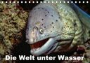 Dieter Gödecke: Die Welt unter Wasser (Tischkalender 2021 DIN A5 quer), KAL