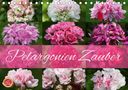 Martina Cross: Pelargonien Zauber (Tischkalender 2021 DIN A5 quer), KAL