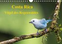 K. A. Akrema-Photography: Costa Rica - Vögel des Regenwaldes (Wandkalender 2021 DIN A4 quer), Diverse
