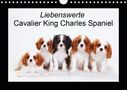 Petra Wegner: Liebenswerte Cavalier King Charles Spaniel (Wandkalender 2021 DIN A4 quer), KAL