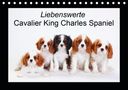 Petra Wegner: Liebenswerte Cavalier King Charles Spaniel (Tischkalender 2021 DIN A5 quer), KAL