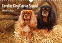 Petra Wegner: Whole-colour Cavalier King Charles Spaniel (Wandkalender 2021 DIN A4 quer), KAL