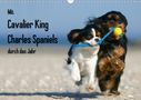 Petra Wegner: Mit Cavalier King Charles Spaniels durch das Jahr (Wandkalender 2021 DIN A3 quer), KAL