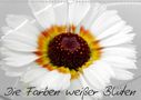 Birgit Knodt: Die Farben weißer Blüten (Wandkalender 2021 DIN A3 quer), KAL
