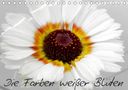 Birgit Knodt: Die Farben weißer Blüten (Tischkalender 2021 DIN A5 quer), KAL