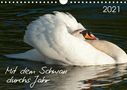 Roland T. Frank: Mit dem Schwan durchs JahrAT-Version (Wandkalender 2021 DIN A4 quer), Div.