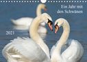 Roland T. Frank: Ein Jahr mit den SchwänenCH-Version (Wandkalender 2021 DIN A4 quer), Div.