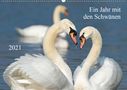 Roland T. Frank: Ein Jahr mit den SchwänenCH-Version (Wandkalender 2021 DIN A2 quer), Div.