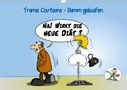 (Reinhard Trummer), Trumix. De: Trumix Cartoons - Dumm gelaufen (Wandkalender 2021 DIN A3 quer), KAL