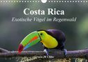 Ursula Di Chito: Costa Rica - Exotische Vögel im Regenwald (Wandkalender 2021 DIN A4 quer), KAL