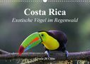 Ursula Di Chito: Costa Rica - Exotische Vögel im Regenwald (Wandkalender 2021 DIN A3 quer), KAL