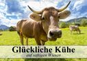 Elisabeth Stanzer: Glückliche Kühe auf saftigen Wiesen (Wandkalender 2021 DIN A2 quer), KAL