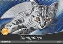 Uschi Felix: Samtpfoten - Katzen in Pastell (Wandkalender 2021 DIN A3 quer), KAL