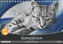 Uschi Felix: Samtpfoten - Katzen in Pastell (Tischkalender 2021 DIN A5 quer), KAL