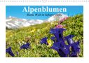 Elisabeth Stanzer: Alpenblumen. Bunte Welt in luftiger Höhe (Wandkalender 2021 DIN A3 quer), KAL