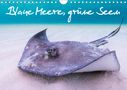 Boris Buschardt - Wild-Places. Com: Blaue Meere, grüne Seen - Unterwasserbilder (Wandkalender 2021 DIN A4 quer), KAL