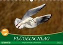 Axel Kottal Claudia Elsner: Flügelschlag - Vögel in ihrem natürlichen Lebensraum (Wandkalender 2021 DIN A3 quer), KAL