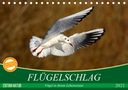 Axel Kottal Claudia Elsner: Flügelschlag - Vögel in ihrem natürlichen Lebensraum (Tischkalender 2021 DIN A5 quer), KAL
