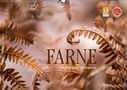 Markus Wuchenauer Pixelrohkost. De: FARNE Faszinierende Waldbewohner (Wandkalender 2021 DIN A2 quer), KAL