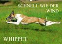Sigrid Starick: Schnell wie der Wind - Whippet (Wandkalender 2021 DIN A2 quer), KAL