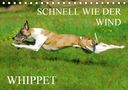 Sigrid Starick: Schnell wie der Wind - Whippet (Tischkalender 2021 DIN A5 quer), KAL