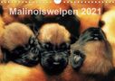 Susanne Schwarzer: Malinoiswelpen 2021 (Wandkalender 2021 DIN A4 quer), KAL