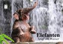 Elisabeth Stanzer: Elefanten. Spaß am Wasser (Wandkalender 2021 DIN A3 quer), Kalender