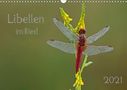 Dorothea Oldani: Libellen im Ried (Wandkalender 2021 DIN A3 quer), KAL