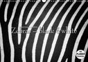 Ingo Gerlach GDT: Emotionale Momente: Zebras - black and white. (Wandkalender 2021 DIN A3 quer), KAL