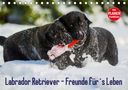 Sigrid Starick: Labrador Retriever - Freunde für´s Leben (Tischkalender 2021 DIN A5 quer), KAL