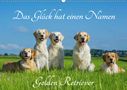 Sigrid Starick: Das Glück hat einen Namen - Golden Retriever (Wandkalender 2021 DIN A2 quer), KAL