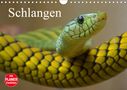 Elisabeth Stanzer: Schlangen (Wandkalender 2021 DIN A4 quer), KAL