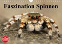 Elisabeth Stanzer: Faszination Spinnen (Wandkalender 2021 DIN A4 quer), KAL