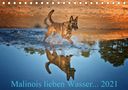 Susanne Schwarzer: Malinois lieben Wasser (Tischkalender 2021 DIN A5 quer), KAL