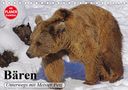 Elisabeth Stanzer: Bären. Unterwegs mit Meister Petz (Tischkalender 2021 DIN A5 quer), KAL