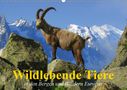 Elisabeth Stanzer: Wildlebende Tiere in den Bergen und Wäldern Europas (Wandkalender 2021 DIN A2 quer), KAL