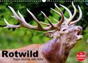 Elisabeth Stanzer: Rotwild. Edle Hirsche, stolze Kühe (Wandkalender 2021 DIN A3 quer), Kalender