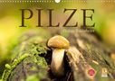 Markus Wuchenauer Pixelrohkost. De: Pilze - fleißige Waldarbeiter (Wandkalender 2021 DIN A3 quer), KAL