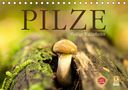 Markus Wuchenauer Pixelrohkost. De: Pilze - fleißige Waldarbeiter (Tischkalender 2021 DIN A5 quer), KAL