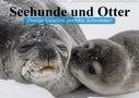 Elisabeth Stanzer: Seehunde und Otter. Putzige Gesellen, perfekte Schwimmer (Wandkalender 2021 DIN A2 quer), Kalender