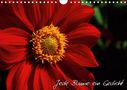 Michael Mantke: Jede Blume ein Gedicht (Wandkalender 2021 DIN A4 quer), KAL